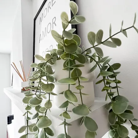 Duplex Apartamento Ávila