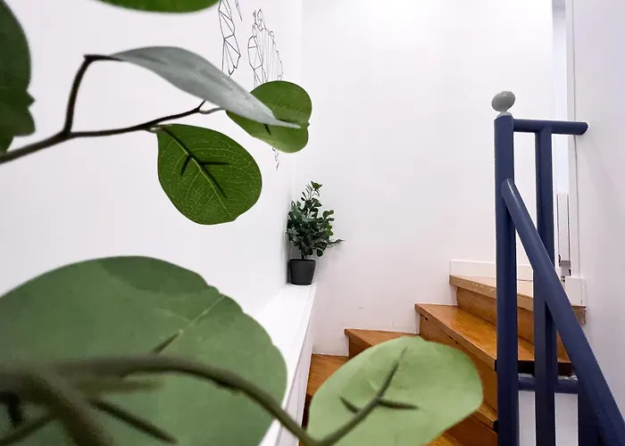 Appartement Duplex *